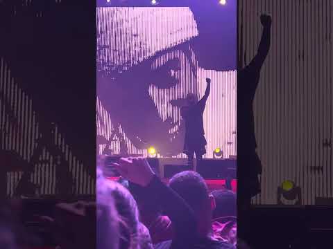 Planet Hemp (Wehoo Festival Recife 16/09/23)  #planethemp #recife #chicoscience