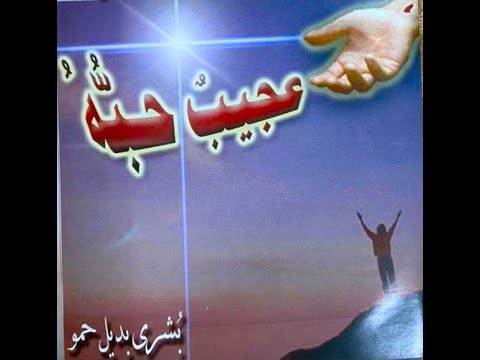 في برية الفتور