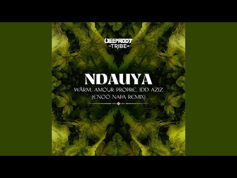 WÄRM & Amour Propre feat.Idd Aziz - Ndauya (Enoo Napa Extended Remix)