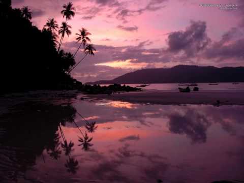 The Roc Project ft. Tina Arena - Never (viva beach party rmx) + lyric