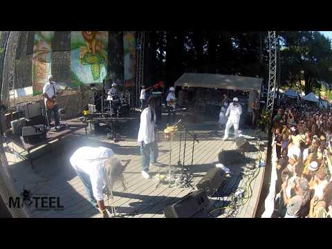 Pato Baton performing "I Do Not Sniff The Coke" live at Reggae On The River 2012