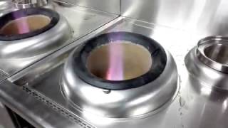 Chinese Wok Range in 4 star Hotel