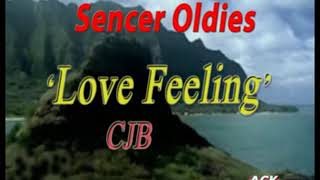 Download lagu Love feeling... mp3