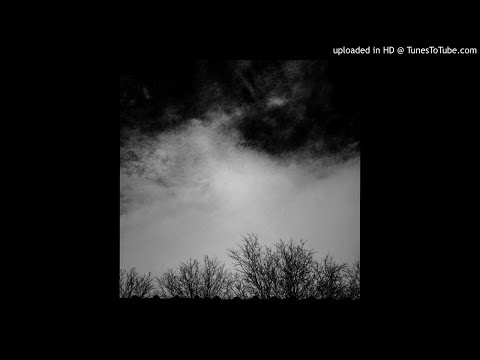 Psy'Aviah - Not What I Expected (Feat. Fallon Nieves)