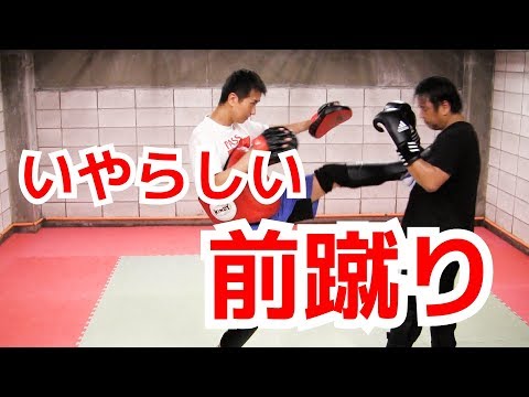 前蹴りと関節蹴りの使い方　キックボクシング ｜UTD護身術