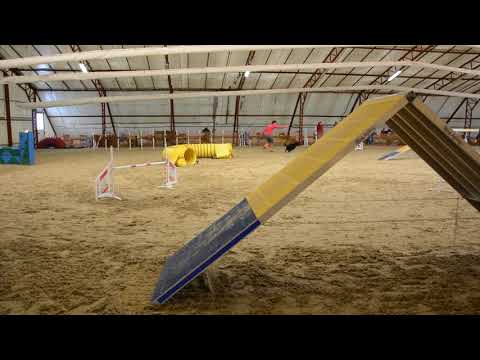 B.Fly Agility Team - Kraft kupa december - válogatás