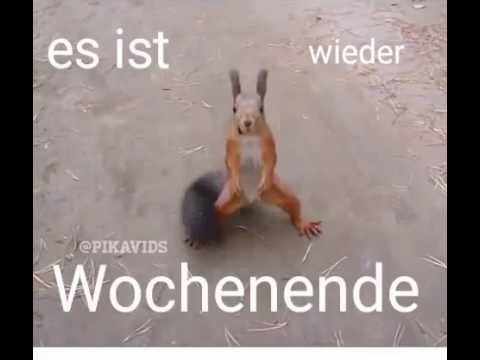 Super lustiges Video: "Es ist wieder Wochenende"