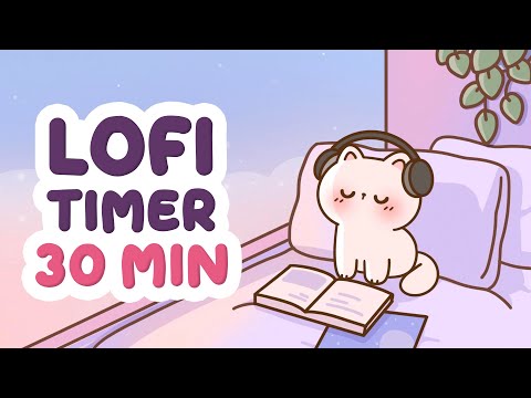 30 Minute Timer with music for classroom 🎵 Focus Timer Study Lofi pomodoro
