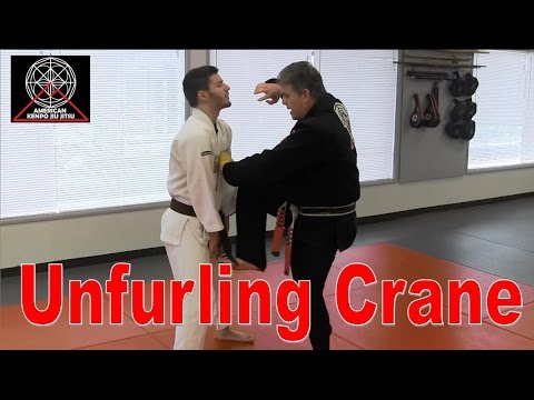 S.M. Mohamad Tabatabai - Unfurling Crane - Technique Breakdown - American Kenpo Jiu Jitsu