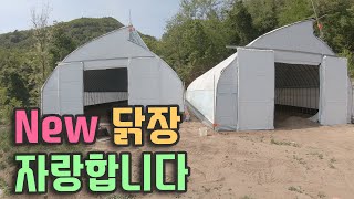 신축 닭 기숙사, 자랑합니다