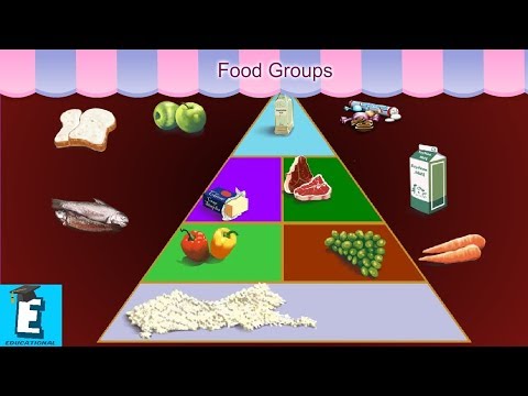 Food Groups Learn for Children and Kids | EDUKID Learning