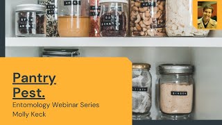 Pantry Pests *Webinar Series* with Molly Keck!