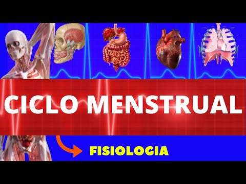 CICLO MENSTRUAL (FISIOLOGIA DE GUYTON) - MENSTRUAÇÃO - FISIOLOGIA HUMANA - OVULAÇÃO