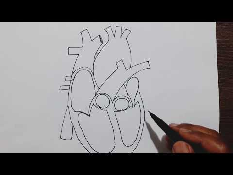download lagu mp3 mp4 Heart Outline, download lagu Heart Outline gratis, unduh video klip Heart Outline