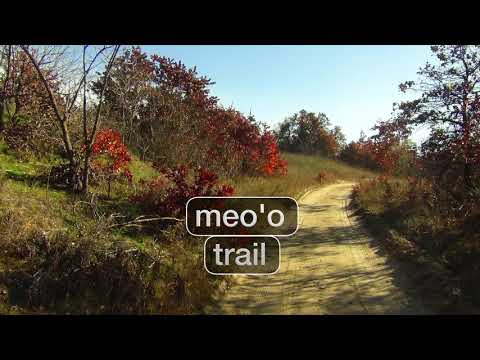 Trail -  meo'o