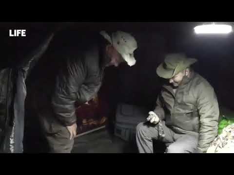 Պուտինի ու Շոյգույի սիբիրյան հանգիստը․ նրանք շշուկով են խոսում