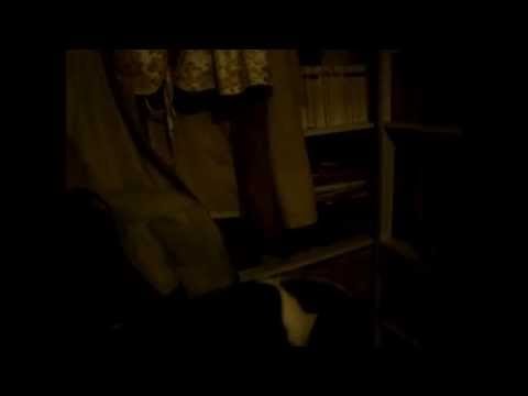 Kot Kajtek i jego zabawa o 5 rano -- kopia