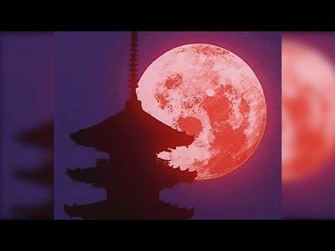 [FREE] LIL UZI VERT x PLAYBOI CARTI x TRIPPIE REDD TYPE BEAT - Sleepless - DREAMR - 2019