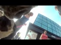 Doggie Cam Cute