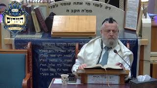 בית הכנסת יזדים  •  יום ראשון ח' שבט תשפ'ו (בית הכנסת מוסאיוף) - התמונה מוצגת ישירות מתוך אתר האינטרנט יוטיוב. זכויות היוצרים בתמונה שייכות ליוצרה. קישור קרדיט למקור התוכן נמצא בתוך דף הסרטון