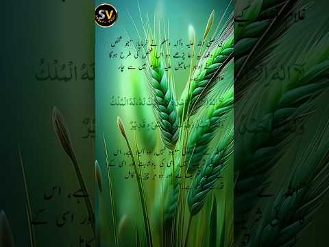 kis wazifa say 10 slaves ko Azad kerny Ka swab milta hay.