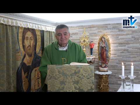 "Lo que no se Agradece se Pierde" | Homilía, Miércoles, XXIX Semana del T.O (21-10-2026) | P. Santiago Martín, FM