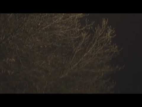 Jayrico - Who is him (Official video) Shot by : liltywitdacamera