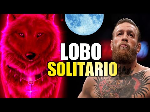 Si Te TOCÓ LUCHAR SOLO, Debes De TENER La ACTITUD De El LOBO SOLITARIO, Discursos motivacionales