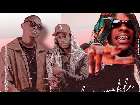 Nello Boy YM x Judizeu Ent. - LOW PROFILE (feat @delciohuambo & @Youngkoficiall_ ) [Visualizer]