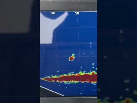 Eagle Eye 9 ice fishing forward live sonar.  Transducer 15 feet away facing lure 10 foot depth