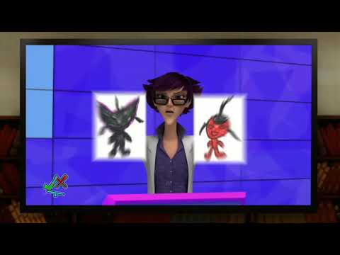 [OFFICIAL] MIRACULOUS LADYBUG: KWAMI BUSTER TRAILER! - MULTIMOUSE