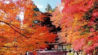 preview picture of video '紅葉の談山神社'