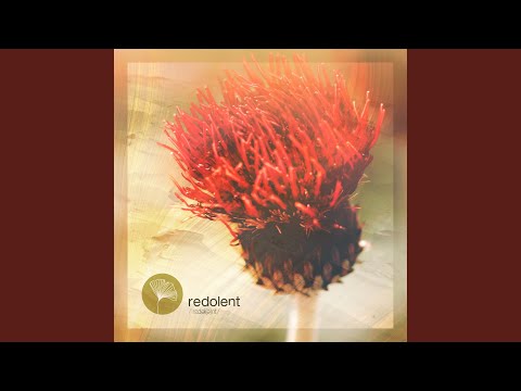 Save a Prayer (feat. Jordan Grace) (Extended Mix)