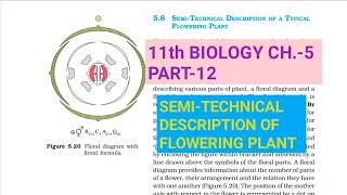 Class 11 Biology|Ch.-5 |Part-12||Semi-technical description of flowering plants||Study with Farru