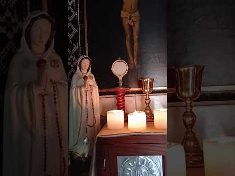 Adoración al Santísimo Sacramento del Altar con el Padre Fabian Esteban Oliva. 10/02/26