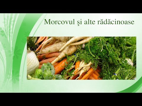 morcovi pentru creșterea penisului aparat de penis