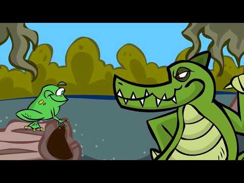 Wide-mouthed Bullfrog Animated Video - Music with Mar.