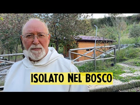 Living alone in the middle of the woods