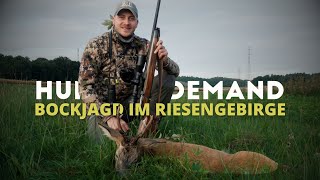 Bockjagd am Fuße des Riesengebirges 🇵🇱 Zu Gast bei The Hunting Hub von @WildboarFanatic