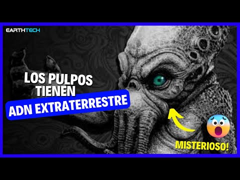 ADN extraterrestre | Los pulpos no son de este planeta