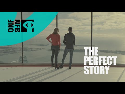 The Perfect Story
