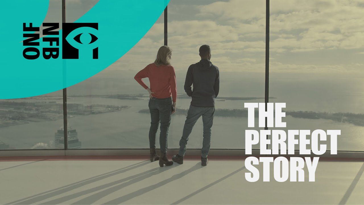 The Perfect Story