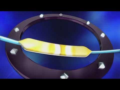 Who Wants to be a Millionaire (Bulgaria) (2001-Nowadays), Vol. 2 | Стани богат (2001-днес), Версия 2