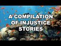 1-HOUR Compilation of Injustice Stories