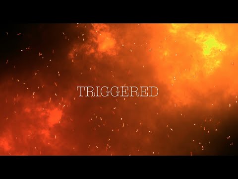 Triggered Lyric Video