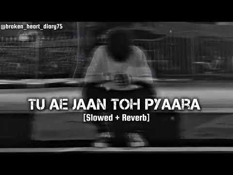 𝐓𝐮 𝐀𝐞 𝐉𝐚𝐚𝐧 𝐓𝐨𝐡 𝐏𝐲𝐚𝐚𝐫𝐚 [𝐒𝐥𝐨𝐰𝐞𝐝+𝐑𝐞𝐯𝐞𝐫𝐛] | 𝐈𝐤𝐤 𝐏𝐚𝐥~ 𝐀𝐦𝐦𝐲 𝐕𝐢𝐫𝐤 | #𝐬𝐥𝐨𝐰𝐞𝐝 #𝐫𝐞𝐯𝐞𝐫𝐛 #𝐩𝐮𝐧𝐣𝐚𝐛𝐢𝐬𝐨𝐧𝐠 #𝐧𝐞𝐰 #𝐬𝐨𝐧𝐠