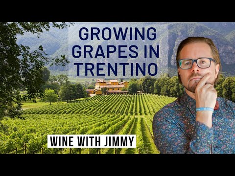 WSET Level 4 Diploma D3 Italy Trentino Grape Growing