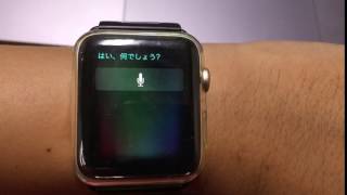 Siriの秘密（Appleさん即修正レベル）