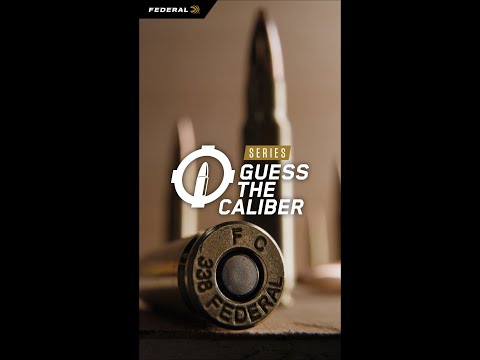 300 Winchester Magnum Federal Fusion Tipped Ballistics Gel Ammo Test