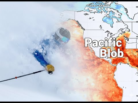 La Niña & Pacific Blob Fall 2025 Update
